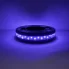 LED Safety cone light with the blue lights on